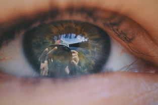 播放世界上最温柔的图片（世界上最温柔的酷型免费阅读）