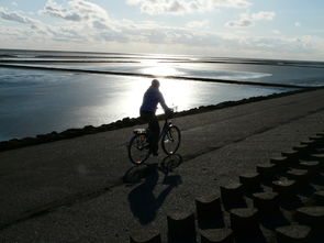 中国世界骑行者排名前十，骑行世界纪录