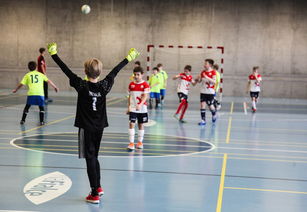 美国男排国家队名单，美国男排十大排名名单