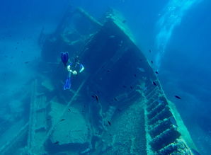 世界十大潜水店排名前十,世界上最好的潜水基地