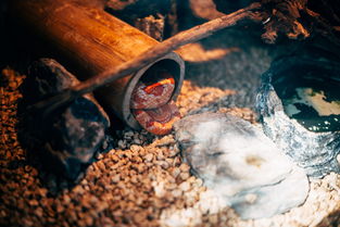 中国最壮观的墓葬，中国十大墓葬