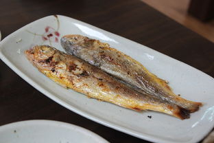 长春烤鱼十大排名，长春烤肉排行榜