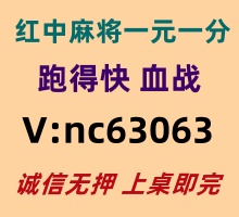【巧夺天工】红中麻将跑得快群《哪里有》